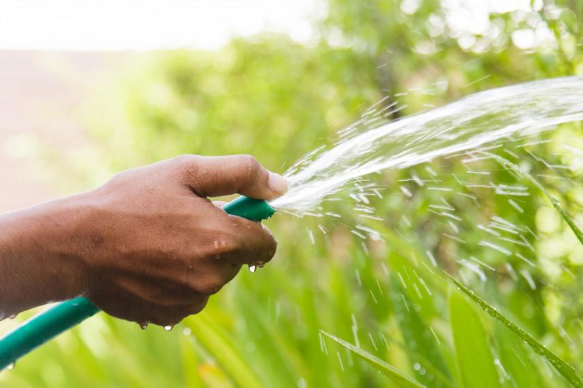 The Five W's of Watering Blog, McDonald Garden Center