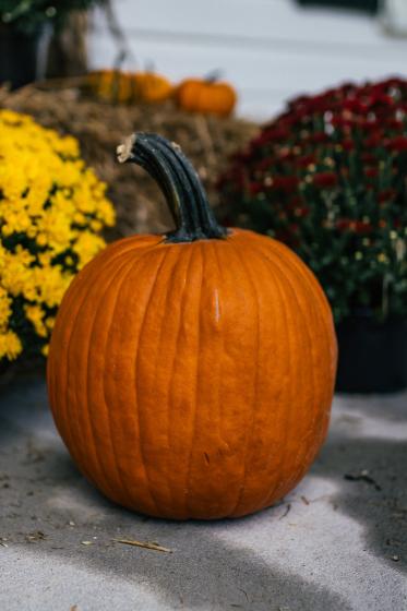 Carving Pumpkin