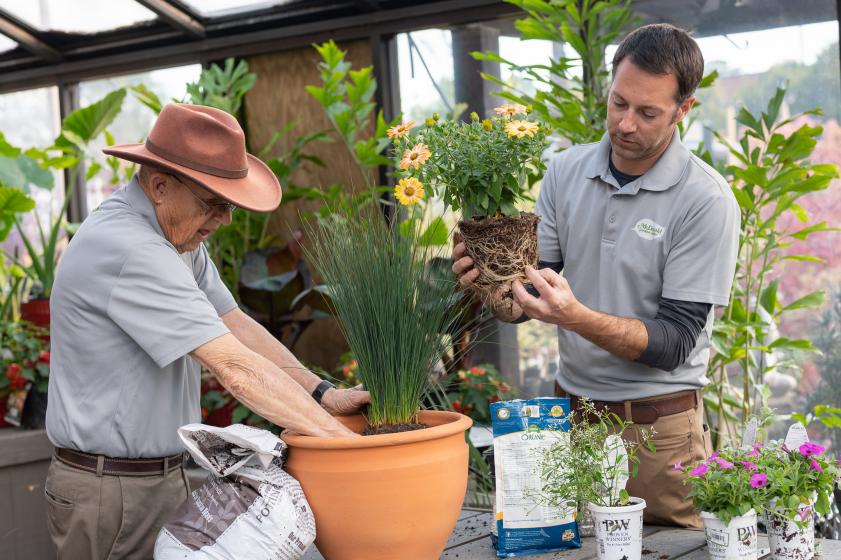 Gardening with the Guru