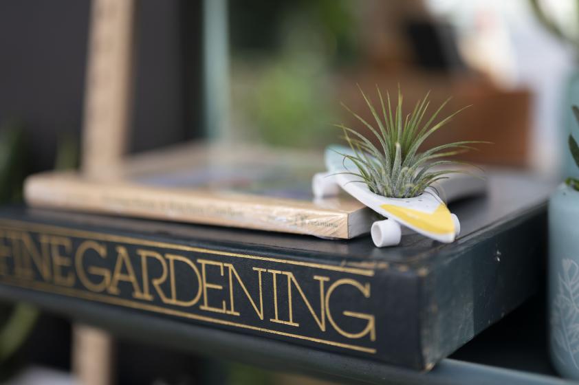 Dorm Plants, McDonald Garden Center