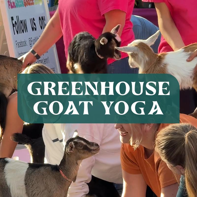 Greenhouse Goat Yoga