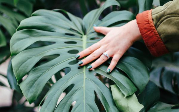 5 Low-Maintenance Houseplants You'll Love