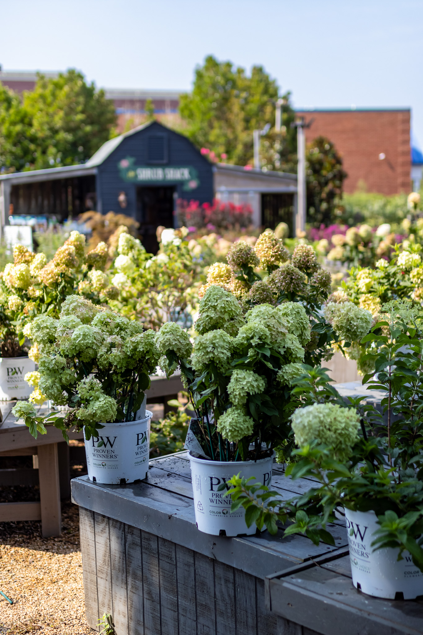 Shrub Shack