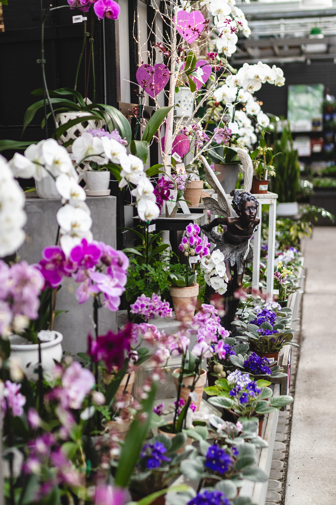 Orchid table