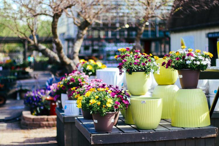 Containers & Pottery