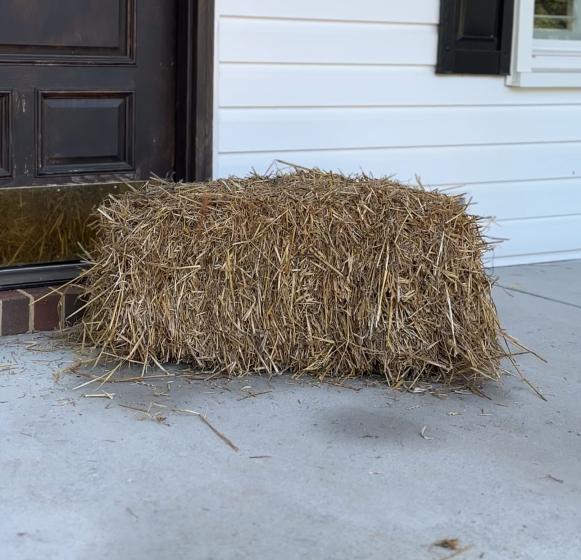 wheat straw bale