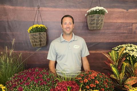 Mums 101 - Mum Care, Maintenance, and Decorating Tips , McDonald Garden Center