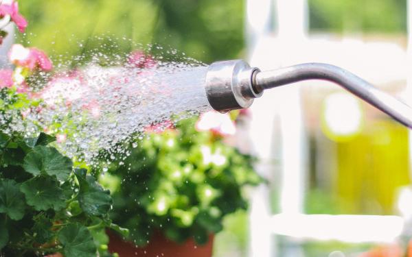 5 Best Ways to Keep Your Garden Watered for the Season