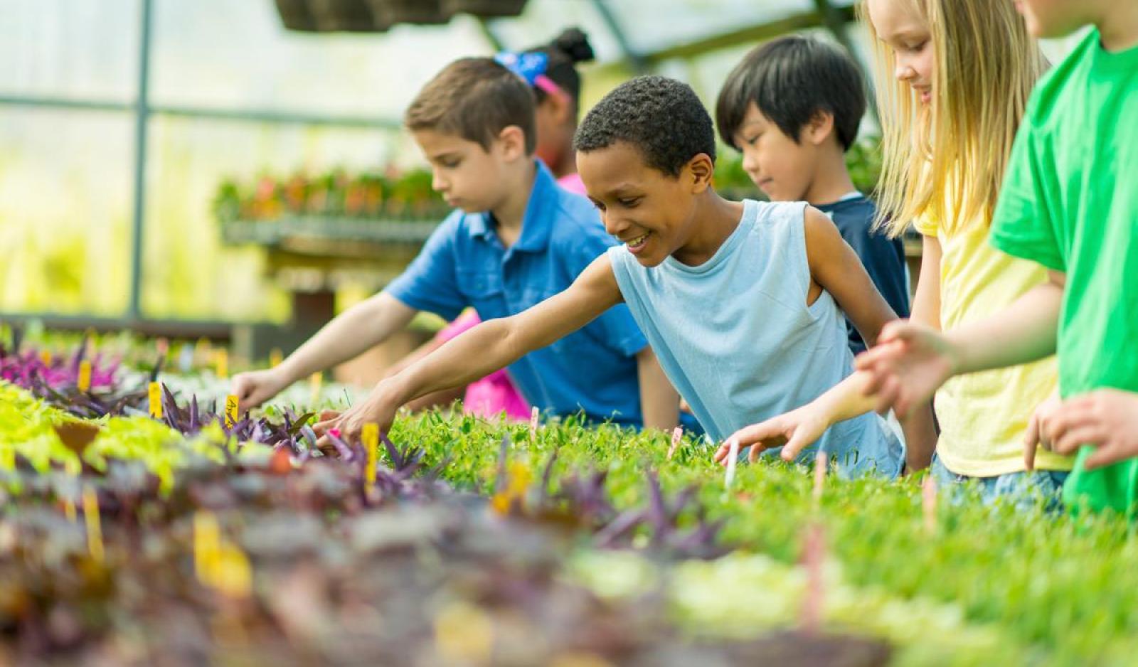 Kids gardening