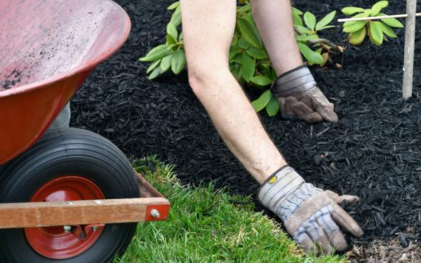 Mulching - Why is it so Important?