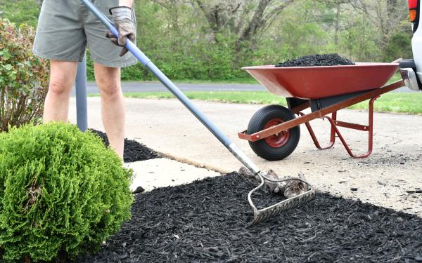 Fall Mulching Myth Busters: What Not to Do and How to Do It Right