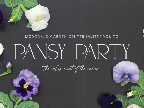 Pansy Party