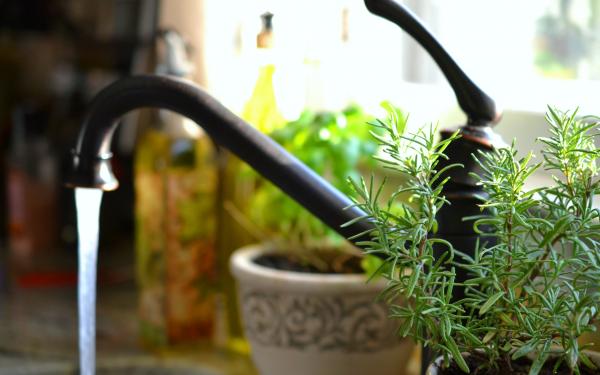 faucet with running water with herbs, McDonald Garden Center 