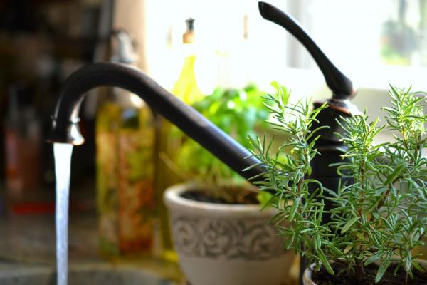 faucet with running water with herbs, McDonald Garden Center 