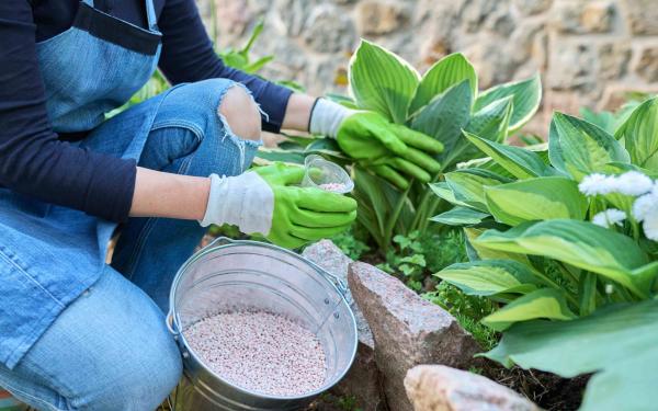 Feeding Your Plants This Summer, McDonald Garden Center