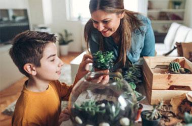 Kids' Terrarium