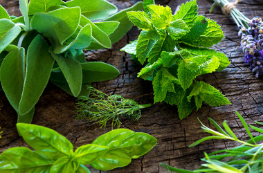 Herb Container