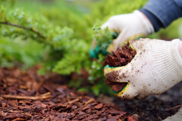 5 Best Mulching Practices for Spring. McDonald Garden Center