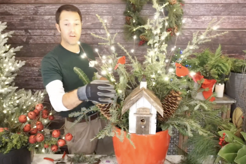 Decorating with Fresh Greens, Porch Pots & More, McDonald Garden Center