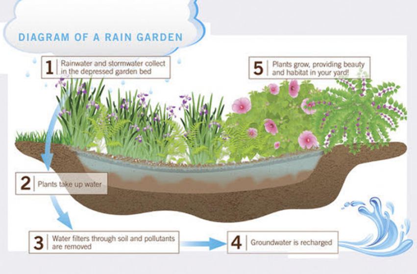 Rain Diagram