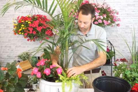 Mike the Garden Guru making a container