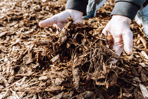 Creative Ways to Use Mulch in Your Landscape