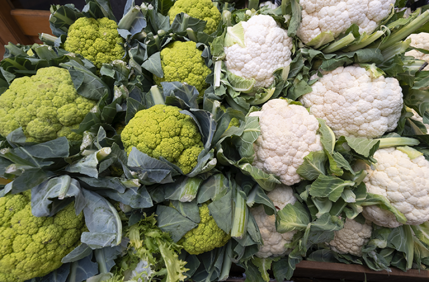 Cole Crops, McDonald Garden Center